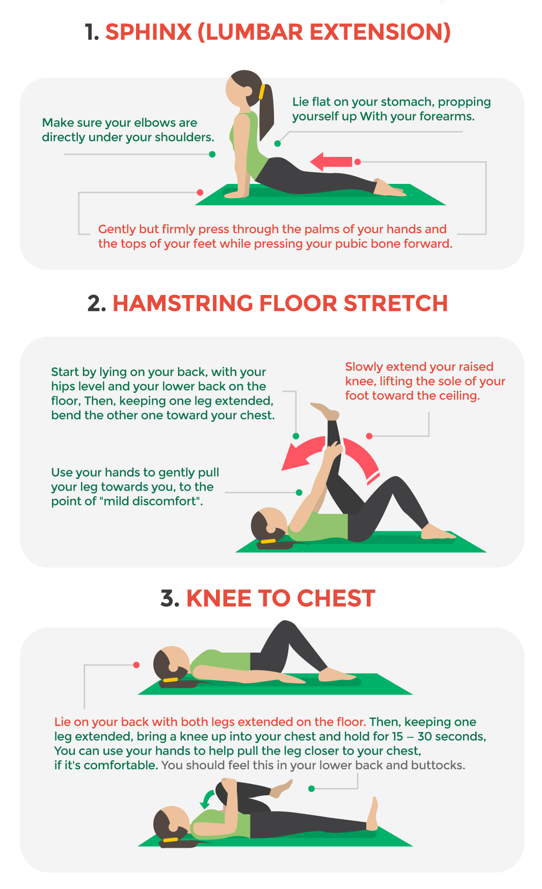 Physical Therapy For Lower Back Pain - 10 Best Exercises For Relief